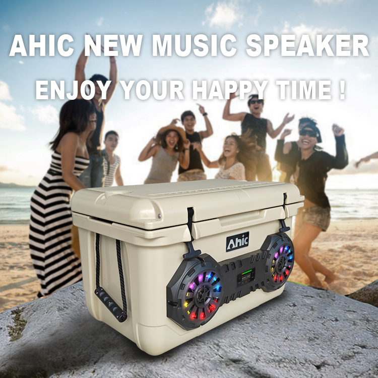 45L Portable Rotomolded Cooler - Bluetooth Speaker review and price