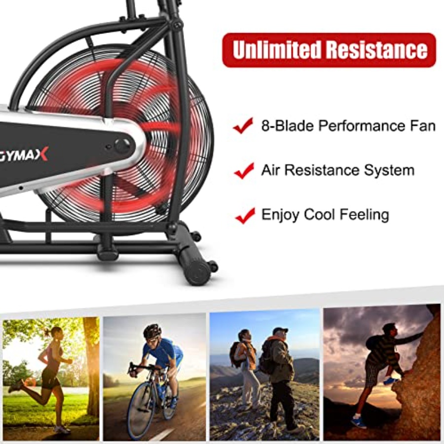 Home gym cardio training: fan  - Phone Holder review and price